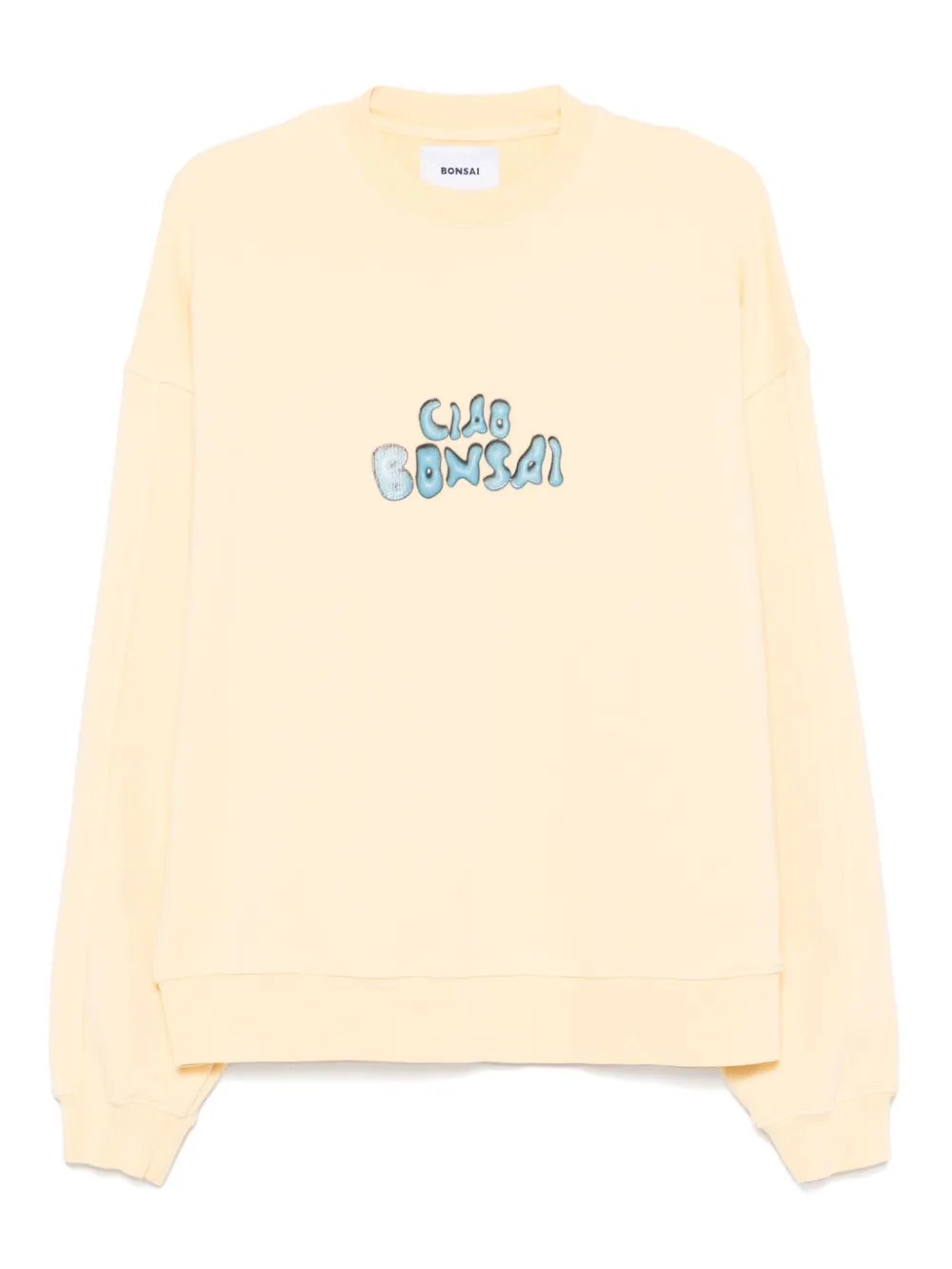 Толстовка Ciao Bonsai, желтый
Толстовка Ciao Bonsai, желтый
