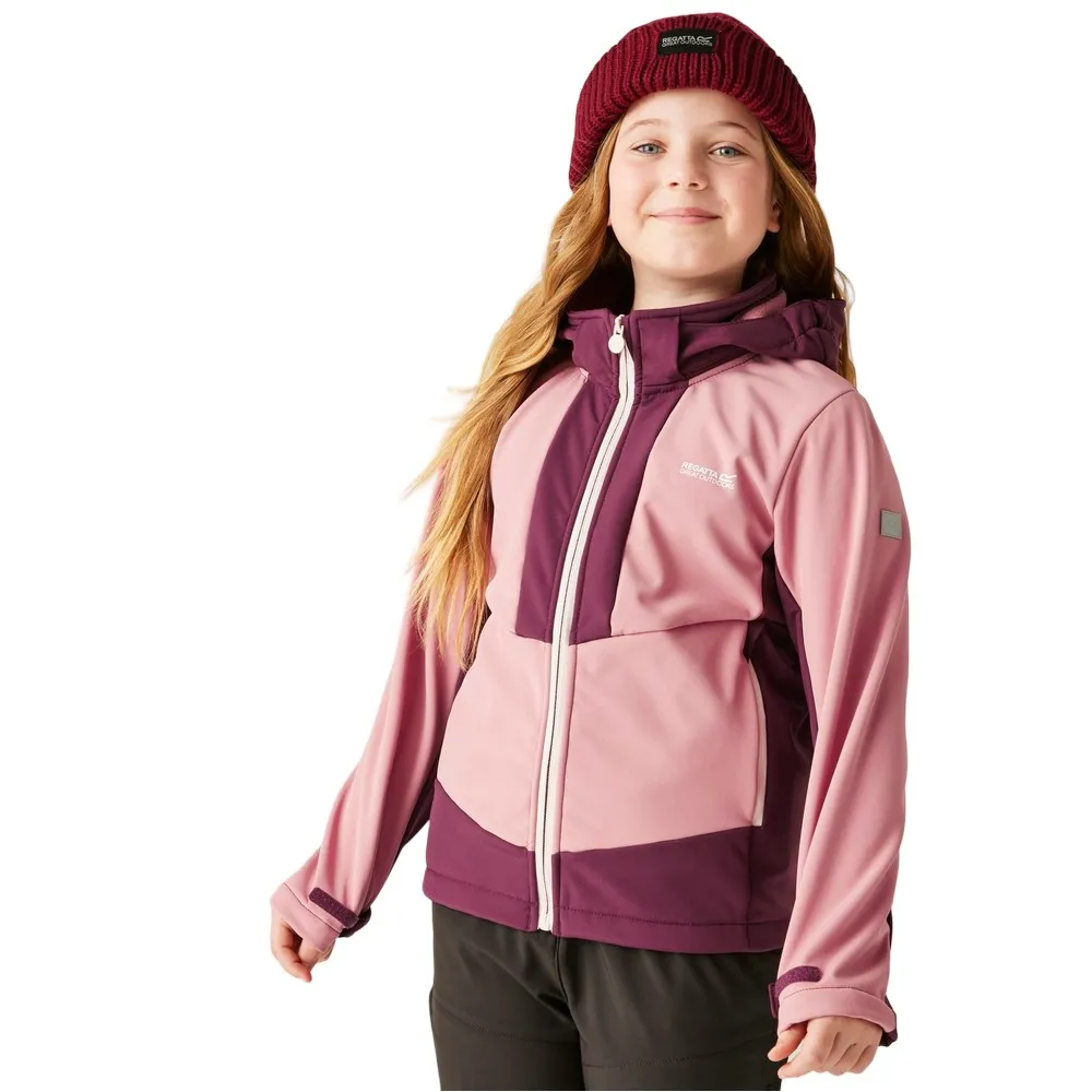 Куртка Regatta Haydenbury softshell, розовый
Куртка Regatta Haydenbury softshell, розовый