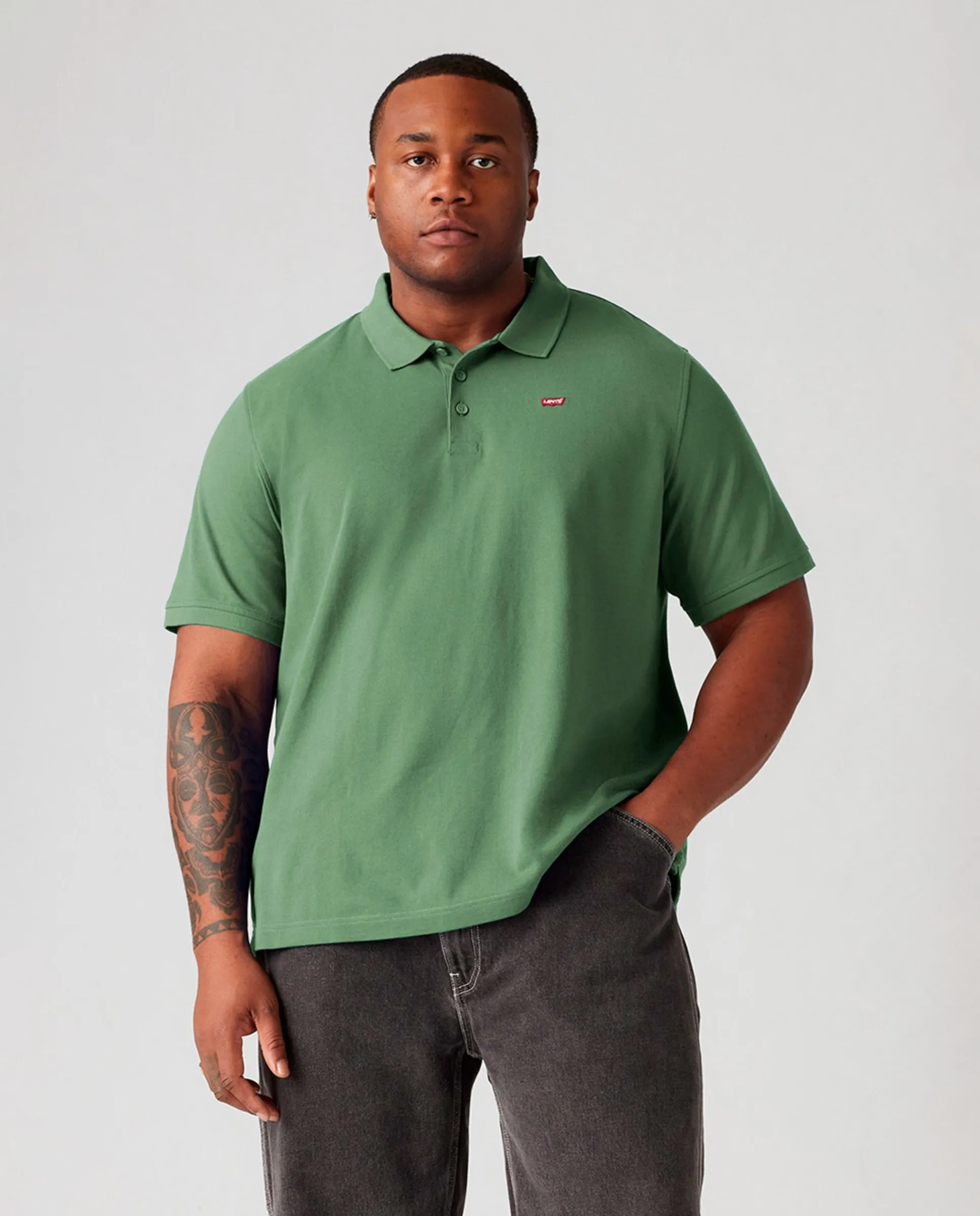 Мужская поло больших размеров с коротким рукавом Levi'S, темно-зеленый
Мужская поло больших размеров с коротким рукавом Levi'S, темно-зеленый