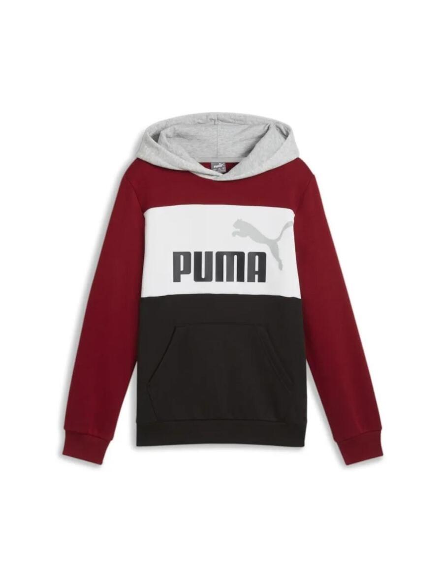 Толстовка Puma Essentials Block Hoodie для мальчиков-унисекс
Толстовка Puma Essentials Block Hoodie для мальчиков-унисекс