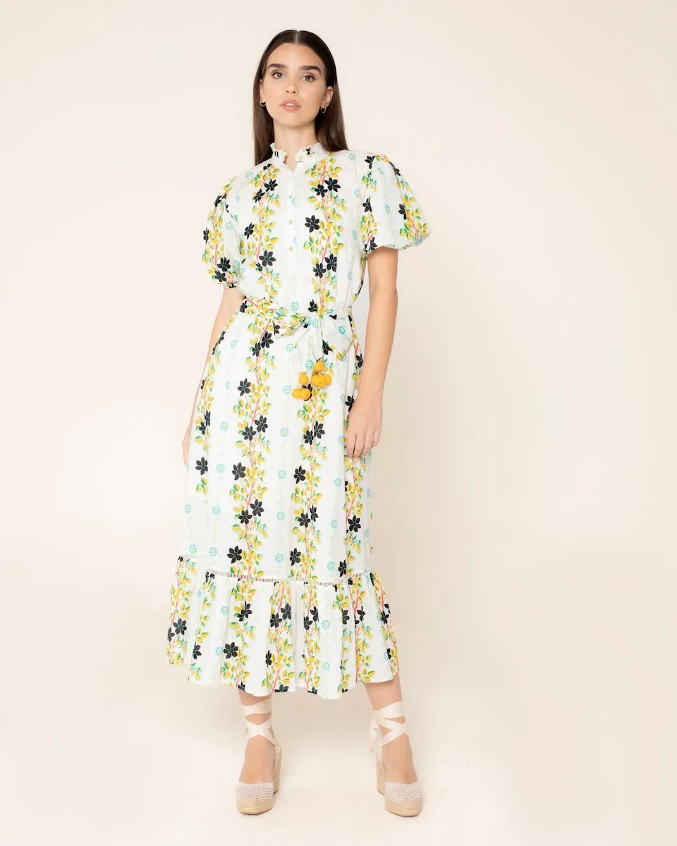 Длинное платье с принтом и рукавами-фонариками Niza, белый
Длинное платье с принтом и рукавами-фонариками Niza, белый