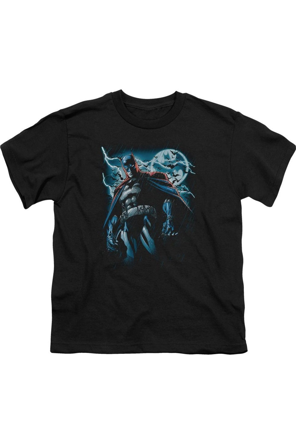 Футболка с коротким рукавом Batman Stormy Knight для детей Gildan, черный
Футболка с коротким рукавом Batman Stormy Knight для детей Gildan, черный