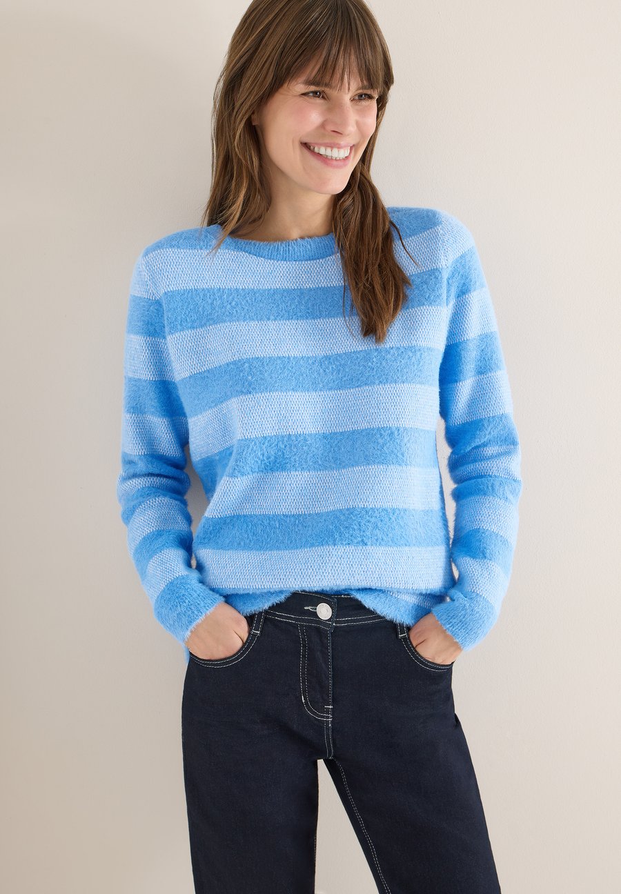 Джемпер Cecil Jumper, Blau/Light Blue
Джемпер Cecil Jumper, Blau/Light Blue