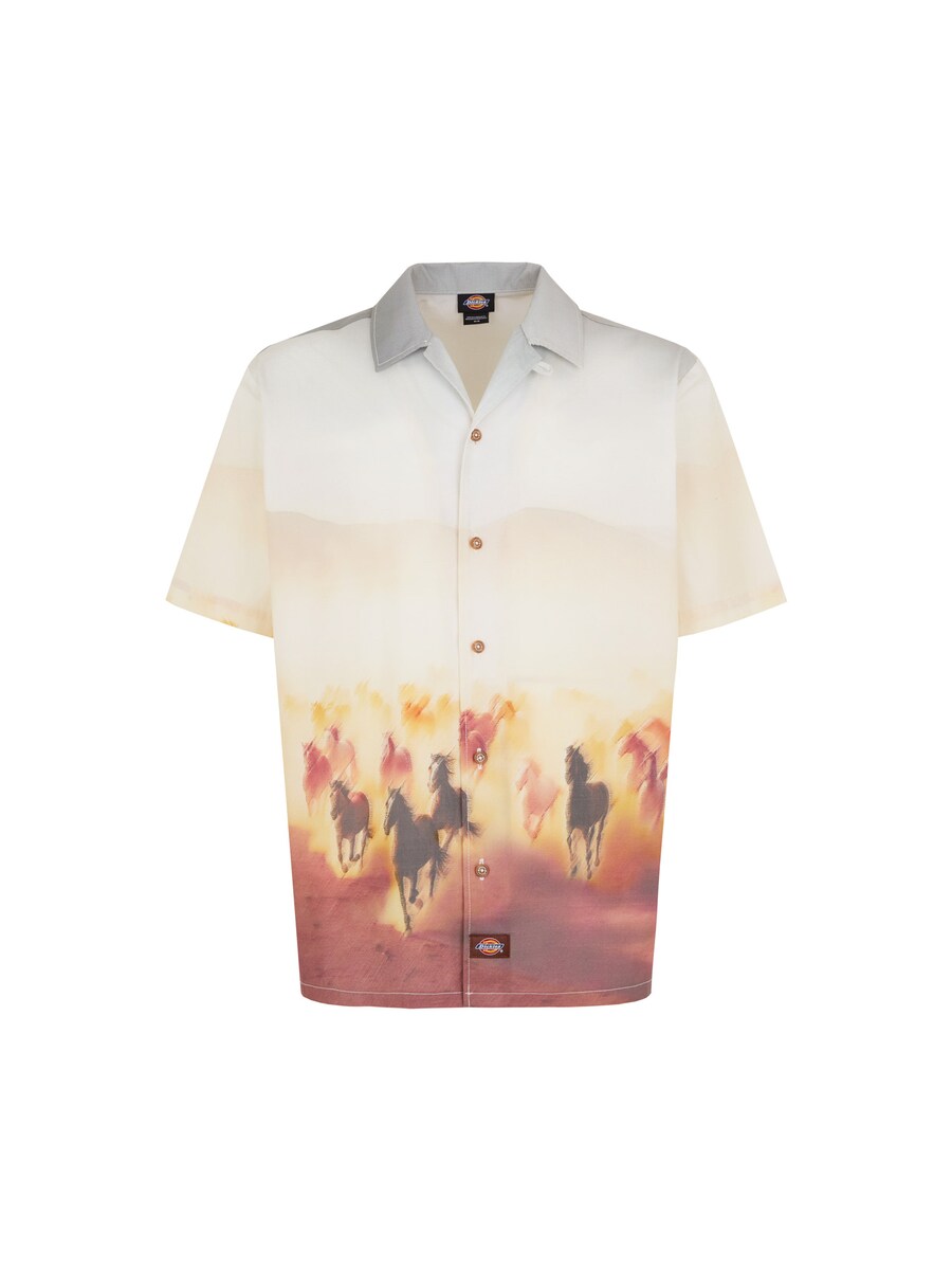 Рубашка на пуговицах DICKIES Running Wild, разноцветный
Рубашка на пуговицах DICKIES Running Wild, разноцветный