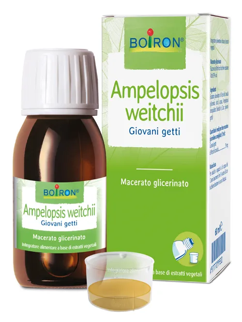 Ampelopsis Wei Boi Mg 60 мл Int Сухожилия и суставы Boiron
Ampelopsis Wei Boi Mg 60 мл Int Сухожилия и суставы Boiron