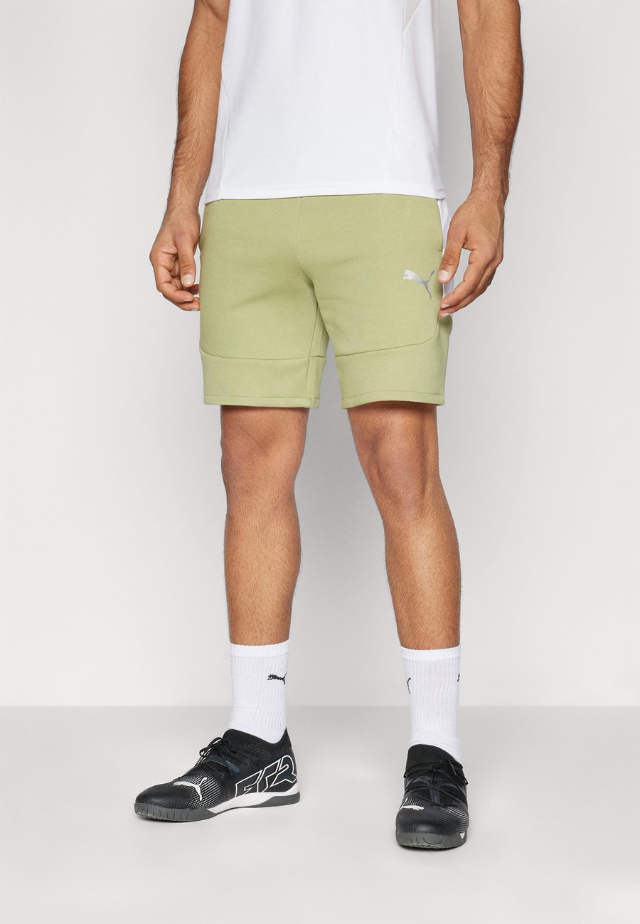 Спортивные шорты Puma SHORTS, Calming Green/Green
Спортивные шорты Puma SHORTS, Calming Green/Green