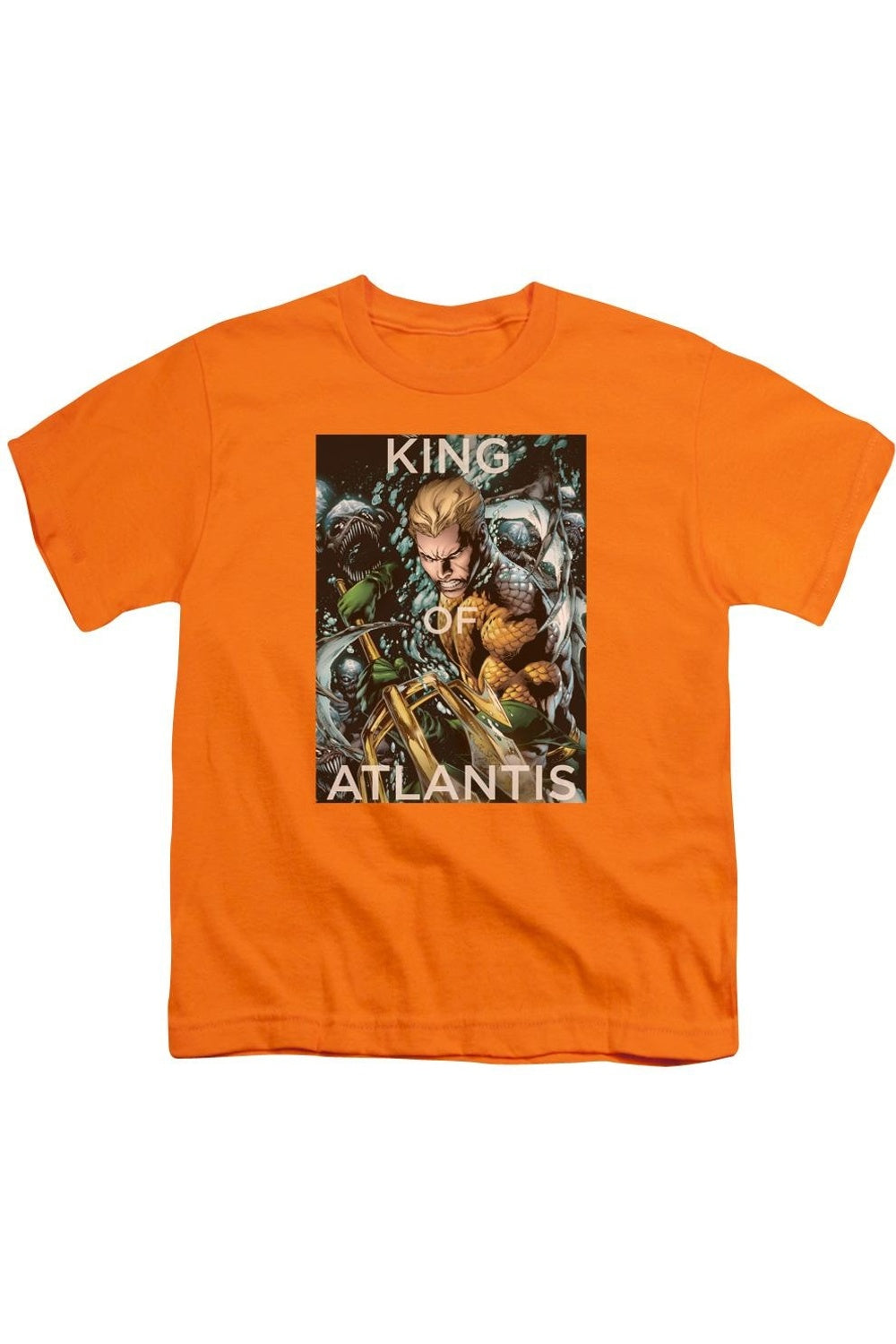 Футболка с коротким рукавом для детей "Лига справедливости Америки: Король Атлантиды" Gildan, оранжевый 
Футболка с коротким рукавом для детей "Лига справедливости Америки: Король Атлантиды" Gildan, оранжевый