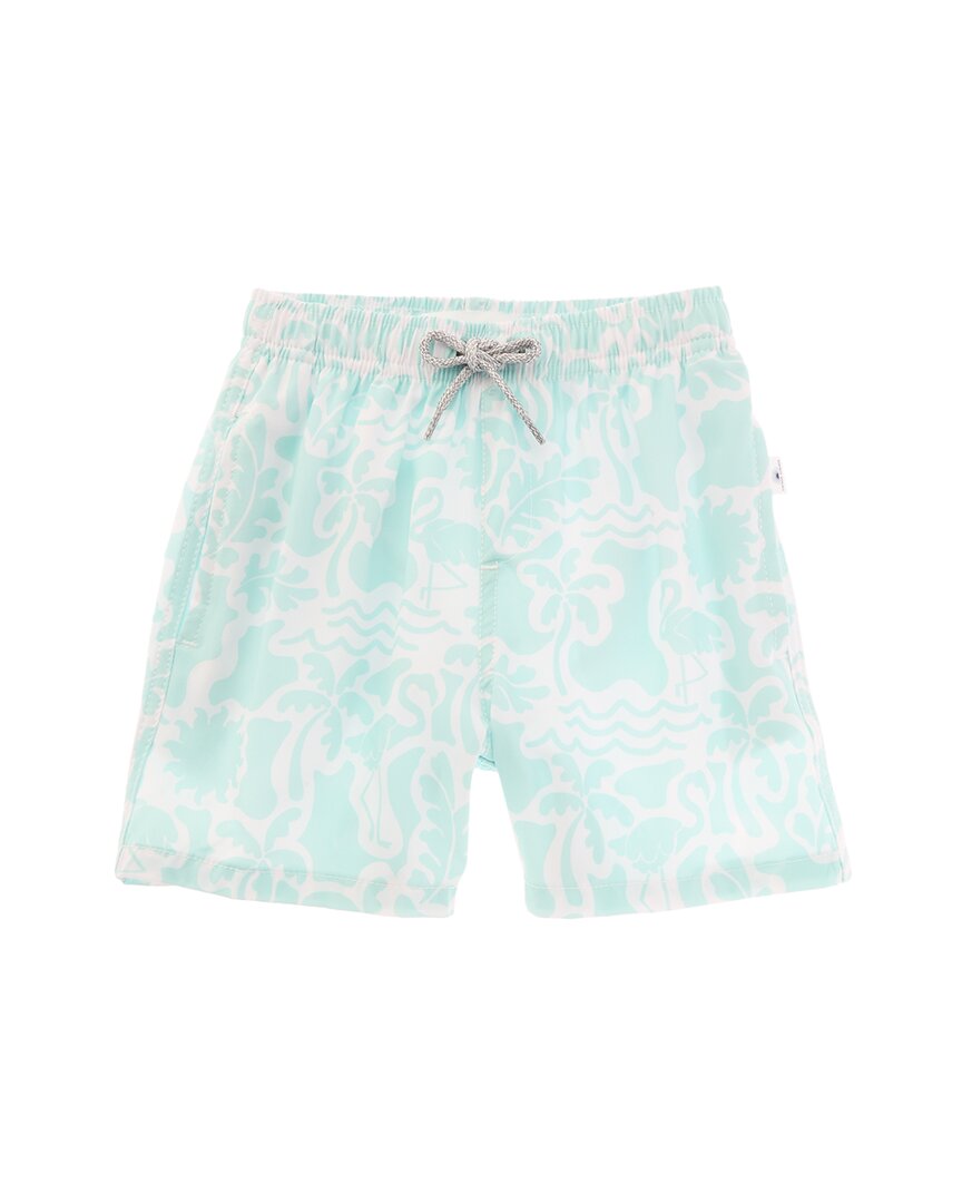 Винтажные летние волейбольные плавки 4-сторонний стретч VINTAGE SUMMER, зеленый
Винтажные летние волейбольные плавки 4-сторонний стретч VINTAGE SUMMER, зеленый