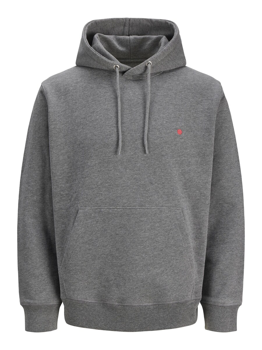 Толстовка R.D.D. ROYAL DENIM DIVISION RDDKALID, mottled grey
Толстовка R.D.D. ROYAL DENIM DIVISION RDDKALID, mottled grey