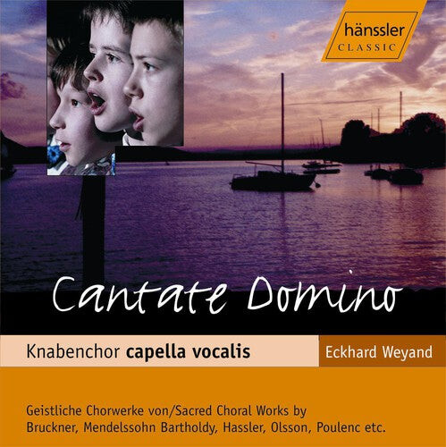 CD диск Boys Choir Capella Vocalis / Weyand: Cantate Domino
CD диск Boys Choir Capella Vocalis / Weyand: Cantate Domino