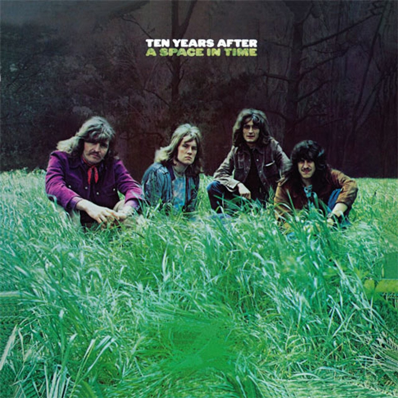 Виниловая пластинка Ten Years After - Space In Time - 50Th Ann. Half-Speed Master
Виниловая пластинка Ten Years After - Space In Time - 50Th Ann. Half-Speed Master