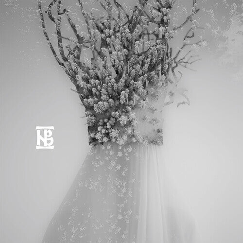 CD диск Negura Bunget: Zau
CD диск Negura Bunget: Zau