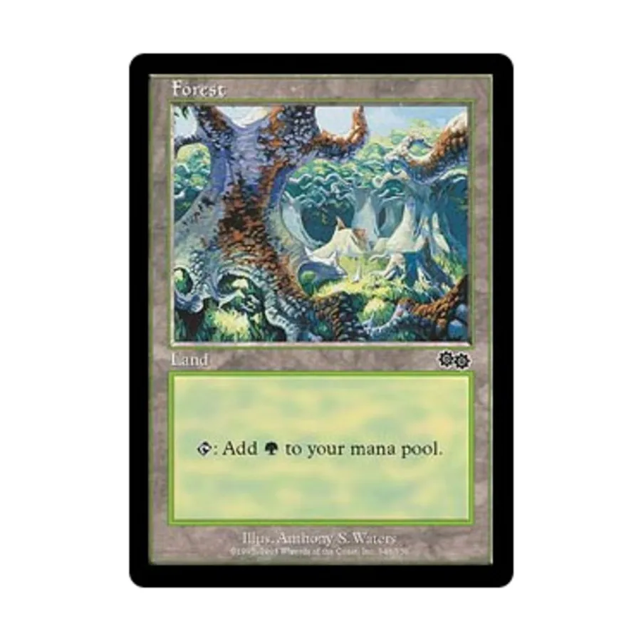 CCG Лес №348 (С), MTG - Urza's Saga
CCG Лес №348 (С), MTG - Urza's Saga