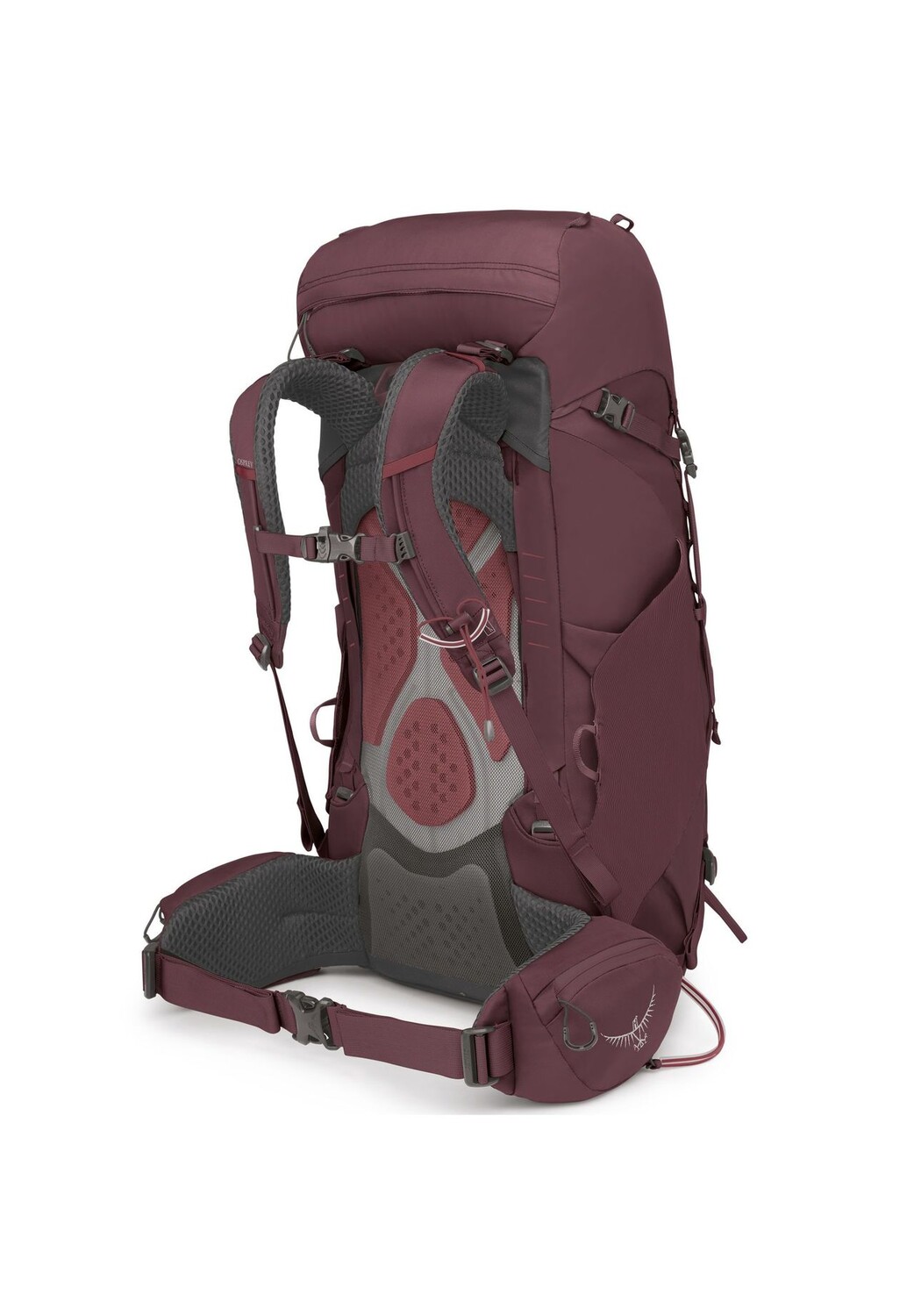 Рюкзак Kyte 38 XS-S 71 см OSPREY, цвет Elderberry Purple
Рюкзак Kyte 38 XS-S 71 см OSPREY, цвет Elderberry Purple