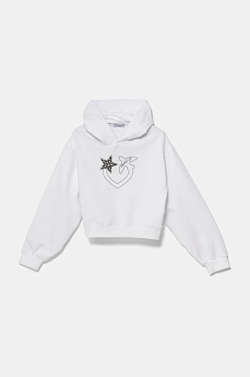 Толстовка Pinko Up детская, белый
Толстовка Pinko Up детская, белый