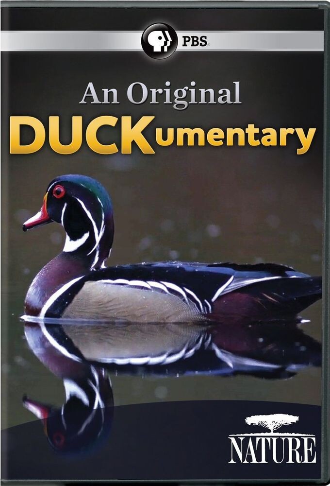 Диск DVD Nature: An Original Duckumentary
Диск DVD Nature: An Original Duckumentary