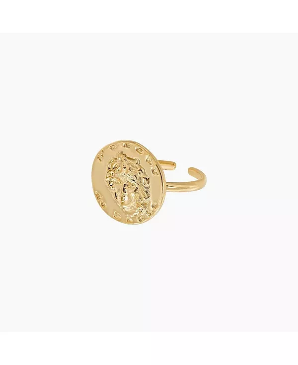 Регулируемое кольцо для монет майя Bearfruit Jewelry, gold
Регулируемое кольцо для монет майя Bearfruit Jewelry, gold