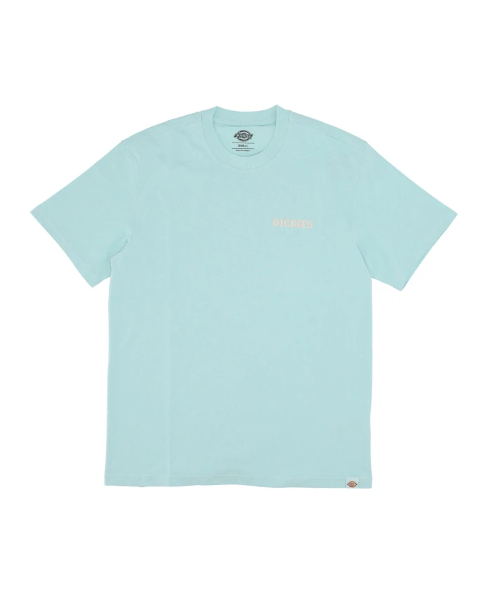 Мужская футболка пастельно-бирюзового цвета Dickies, зеленый
Мужская футболка пастельно-бирюзового цвета Dickies, зеленый