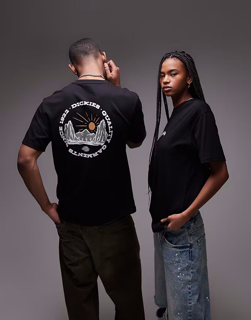 Футболка Dickies Outdoor с графическим принтом на спине, черная
Футболка Dickies Outdoor с графическим принтом на спине, черная