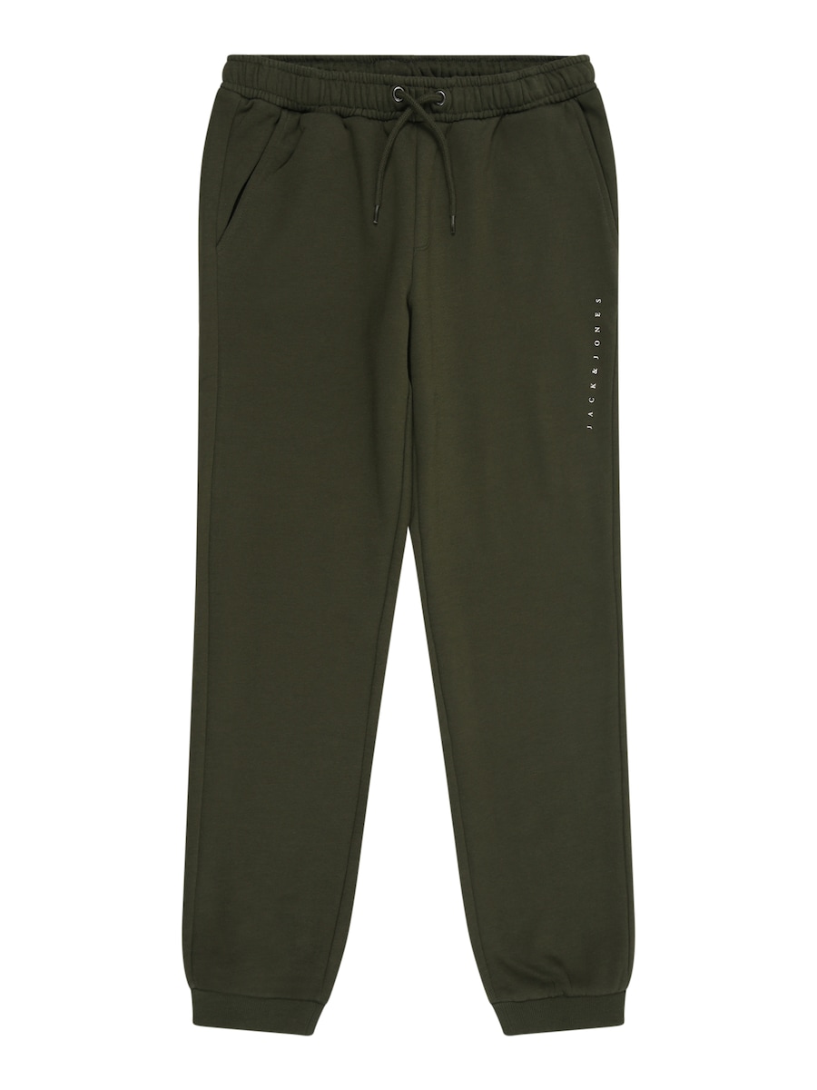 Зауженные брюки Jack & Jones Junior JPSTGORDON JJESTAR, Fir
Зауженные брюки Jack & Jones Junior JPSTGORDON JJESTAR, Fir