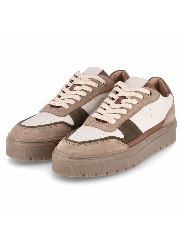 Низкие кроссовки Kaerlek, разноцветный
Низкие кроссовки Kaerlek, разноцветный