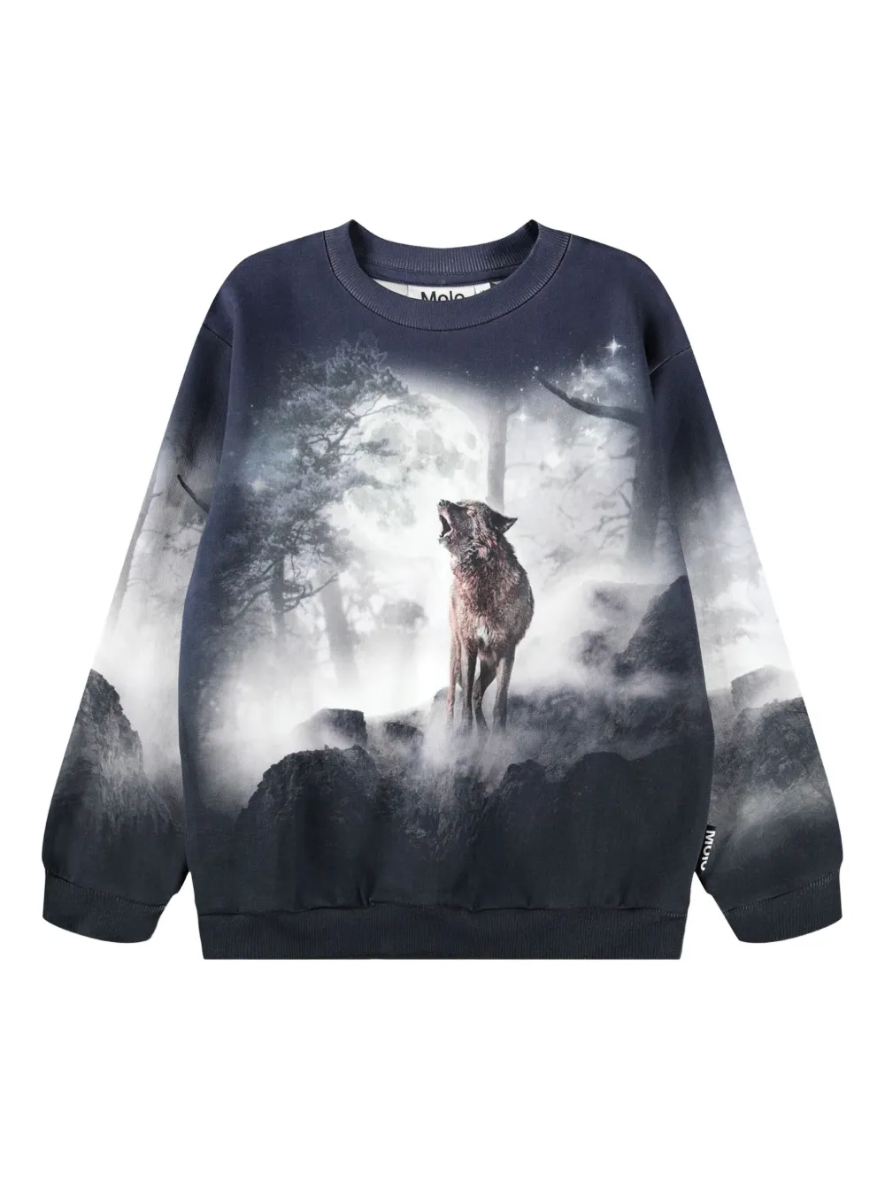 Толстовка Miksi Molo, синий
Толстовка Miksi Molo, синий