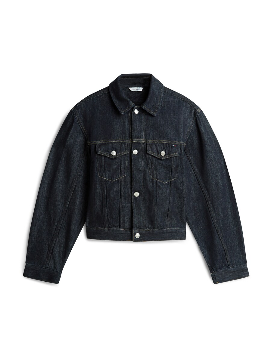 Куртка межсезонная TOMMY HILFIGER, темно-синий
Куртка межсезонная TOMMY HILFIGER, темно-синий