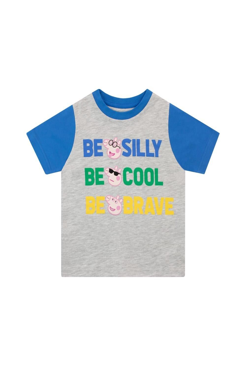 Футболка со свиньей Джорджа Peppa Pig, серый
Футболка со свиньей Джорджа Peppa Pig, серый