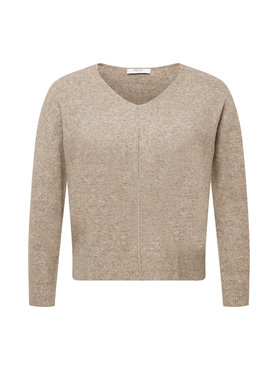 Свитер ABOUT YOU Curvy Asta, Mottled Brown
Свитер ABOUT YOU Curvy Asta, Mottled Brown