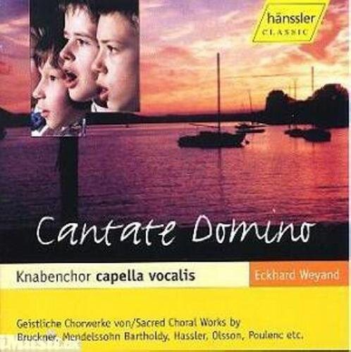 CD диск Serafini / Il Viaggio Musicale: Cantate Domino
CD диск Serafini / Il Viaggio Musicale: Cantate Domino