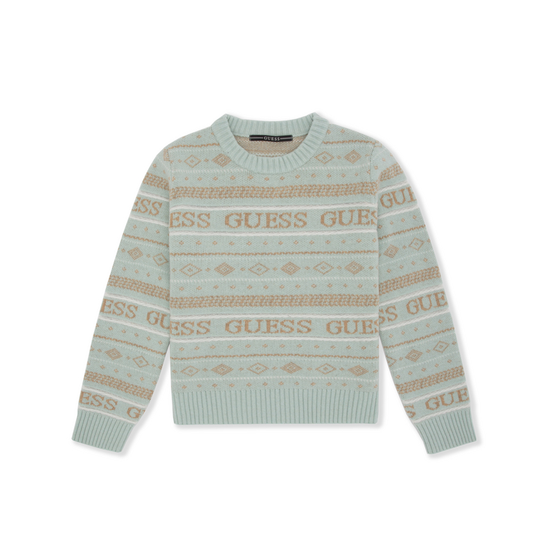 Свитер женский с круглым вырезом Moderate Others GUESS, mit-mint зеленый logo
Свитер женский с круглым вырезом Moderate Others GUESS, mit-mint зеленый logo