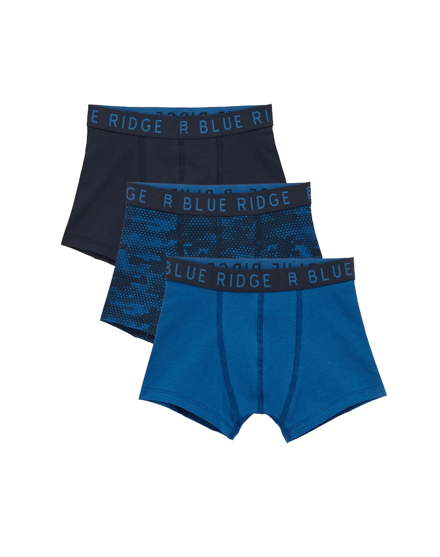 Трусы WE Fashion, темно-синий
Трусы WE Fashion, темно-синий