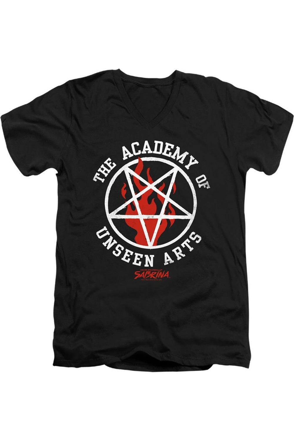 Леденящие душу приключения Сабрины Академия невидимых искусств короткий рукав взрослый V-образный вырез премиум хлопковая футболка / футболка Gildan, черный
Леденящие душу приключения Сабрины Академия невидимых искусств короткий рукав взрослый V-образный вырез премиум хлопковая футболка / футболка Gildan, черный