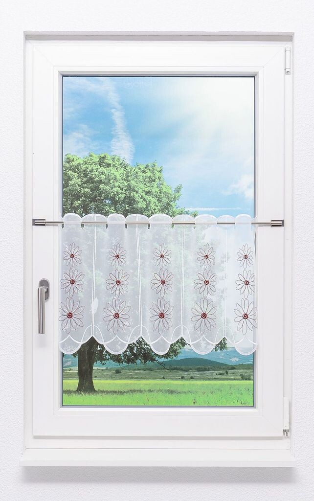 Панельная штора Plauener кружево Flower Magic (Ш х В) 48,90см*40см красный/темно-красный Plauener Spitze
Панельная штора Plauener кружево Flower Magic (Ш х В) 48,90см*40см красный/темно-красный Plauener Spitze