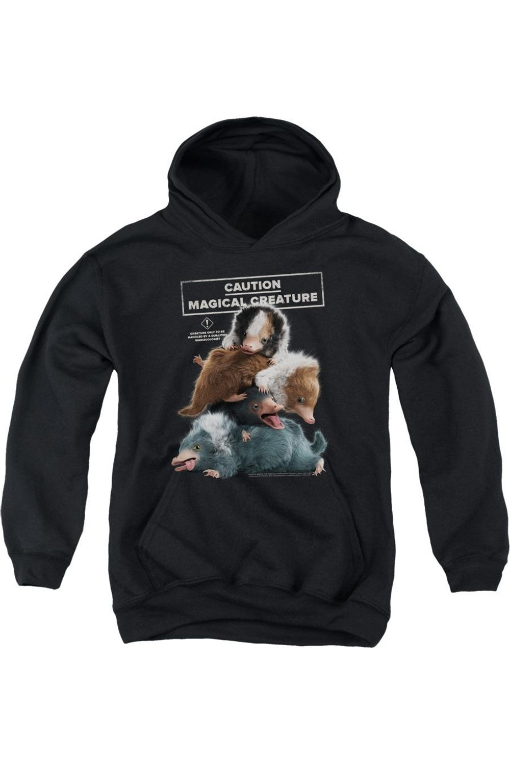 Фантастические твари 2 Толстовка с капюшоном Cuddle Puddle Youth Gildan, черный
Фантастические твари 2 Толстовка с капюшоном Cuddle Puddle Youth Gildan, черный