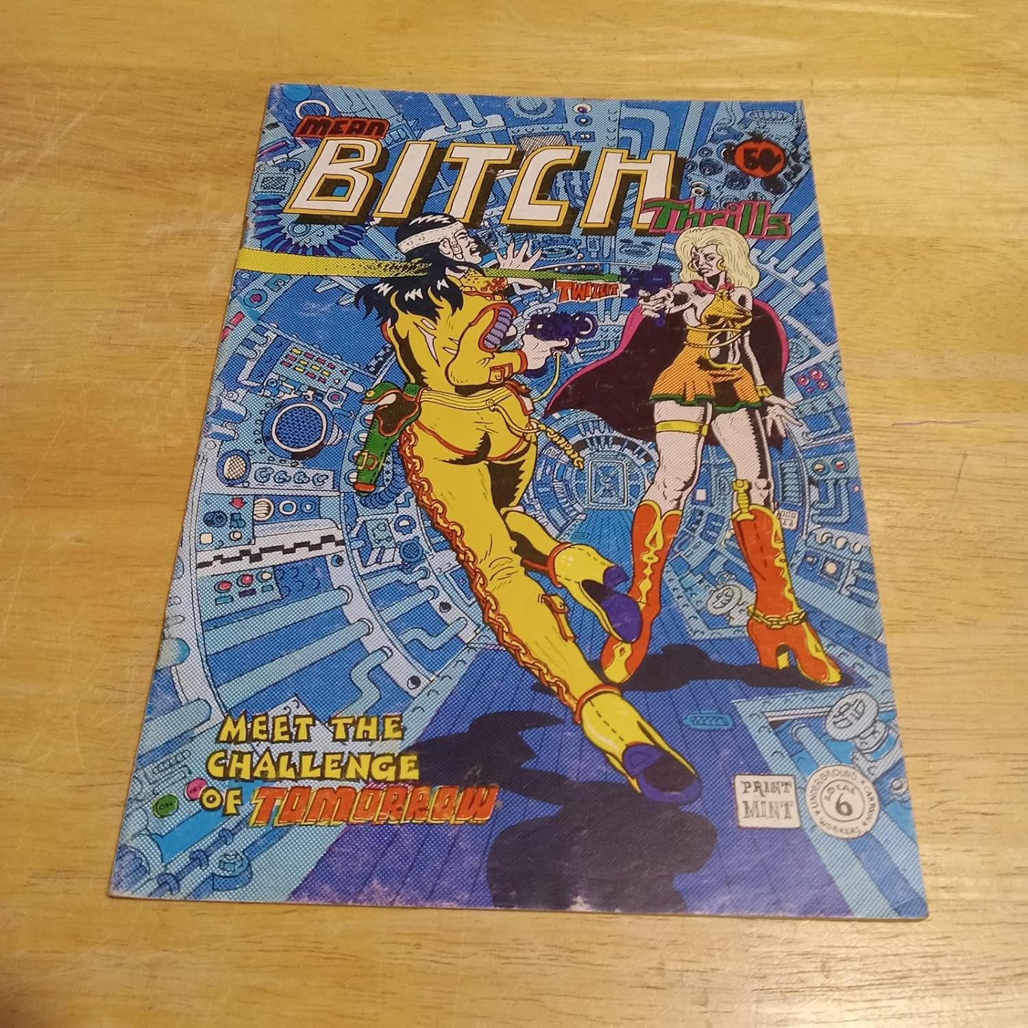 Mean Bitch Thrills (Meet The Challenge Of Tomorrow, Volume 1) (Print Mint)
Mean Bitch Thrills (Meet The Challenge Of Tomorrow, Volume 1) (Print Mint)
