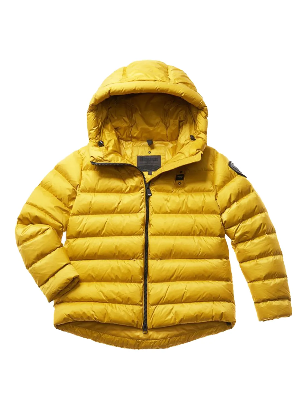 Куртка-пуховик с капюшоном Blauer, желтый
Куртка-пуховик с капюшоном Blauer, желтый