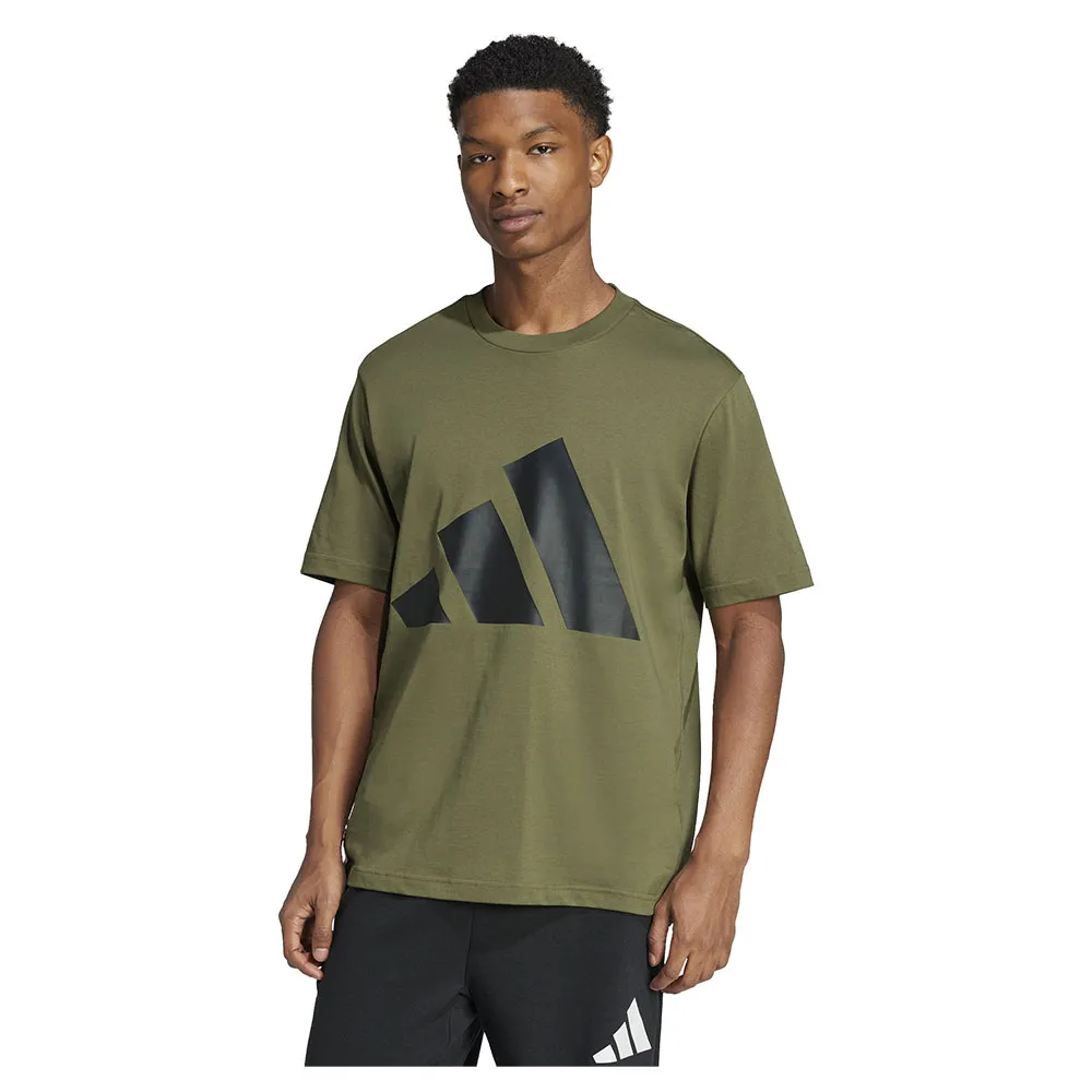 Футболка adidas Essentials Big Logo, зеленый
Футболка adidas Essentials Big Logo, зеленый