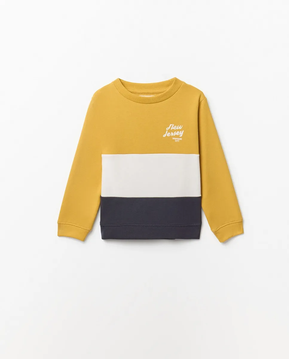 Трехцветная толстовка Sfera, горчичный
Трехцветная толстовка Sfera, горчичный