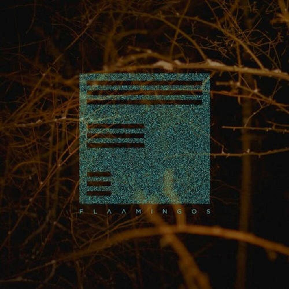 Виниловая пластинка LP Flaamingos - Flaamingos 
Виниловая пластинка LP Flaamingos - Flaamingos
