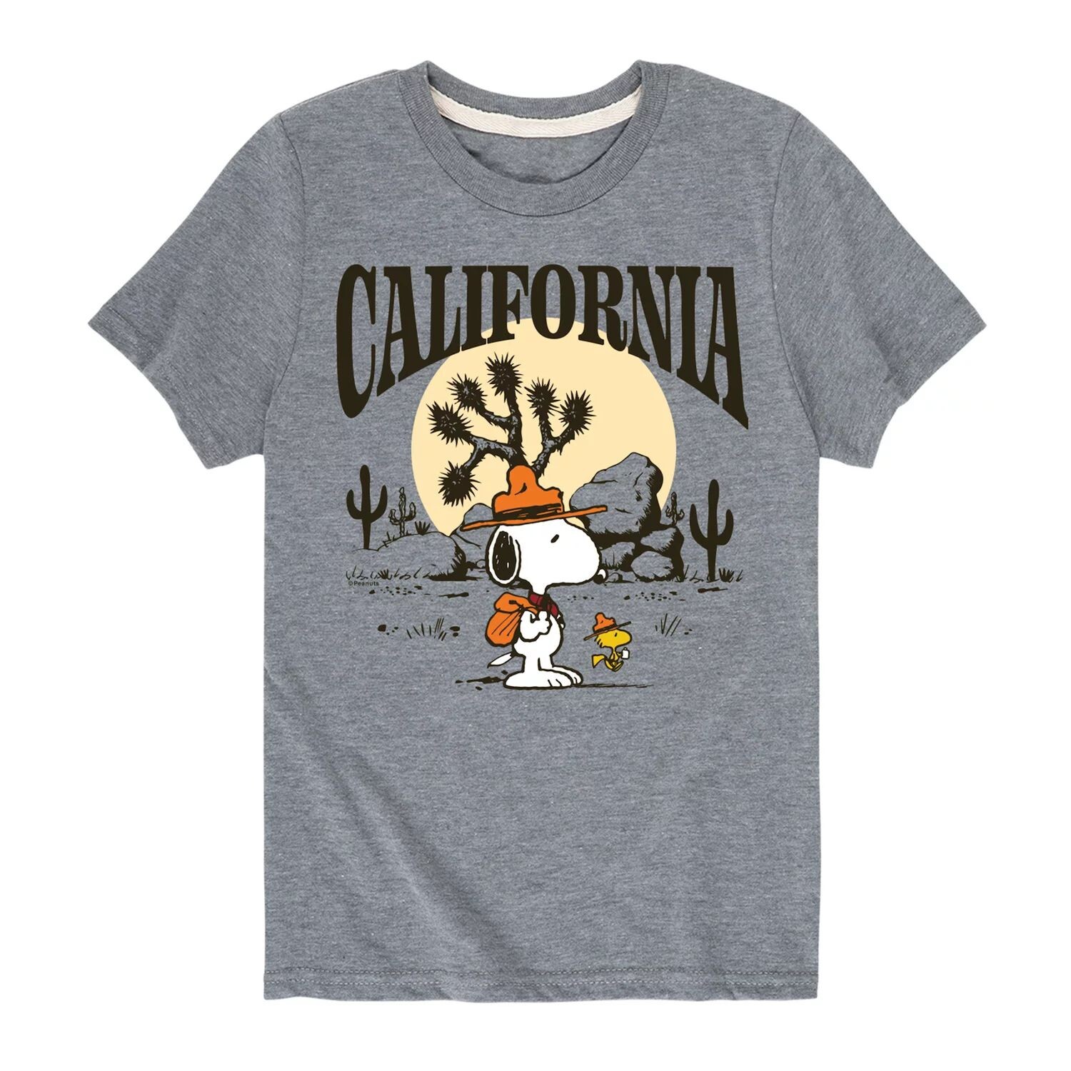 Футболка с рисунком Peanuts California для мальчиков 8–20 лет Licensed Character, серый
Футболка с рисунком Peanuts California для мальчиков 8–20 лет Licensed Character, серый