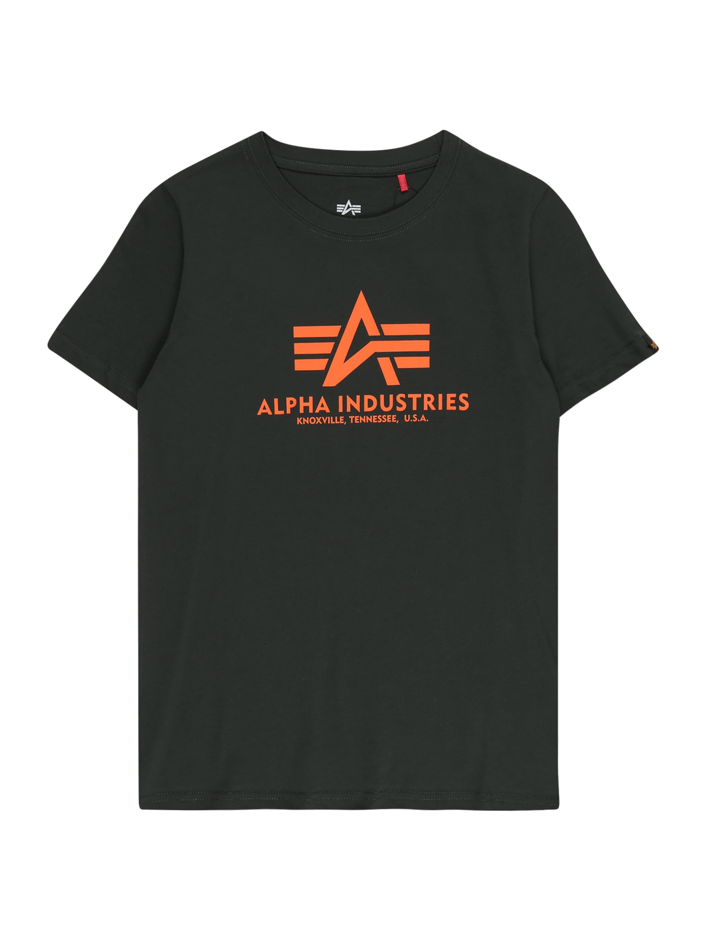 ALPHA INDUSTRIES Футболка в цвете Fir
ALPHA INDUSTRIES Футболка в цвете Fir