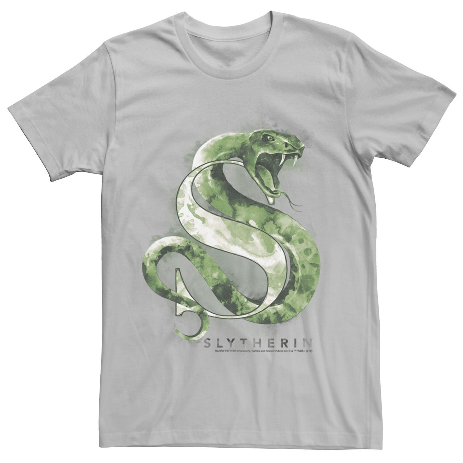 Мужская акварельная футболка Harry Potter Slytherin House Licensed Character, серебристый
Мужская акварельная футболка Harry Potter Slytherin House Licensed Character, серебристый