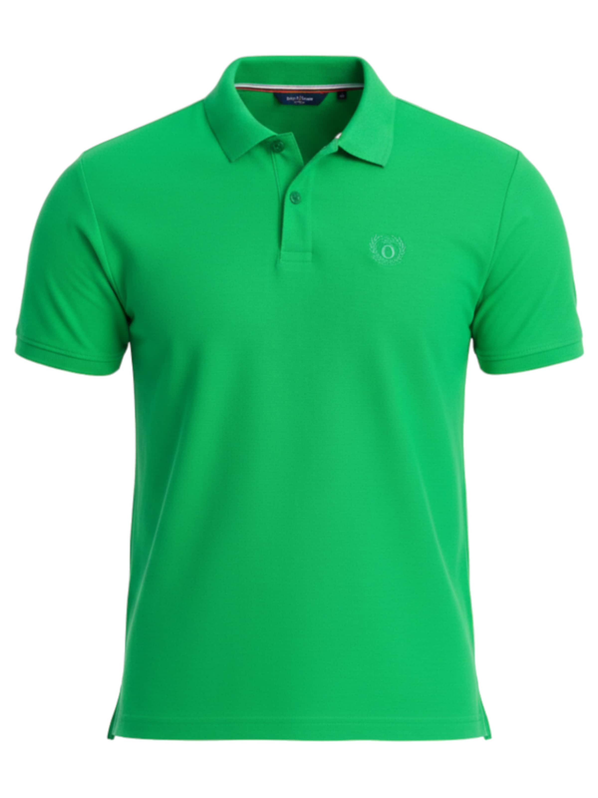 Ombre Поло в зеленом цвете
Ombre Поло в зеленом цвете