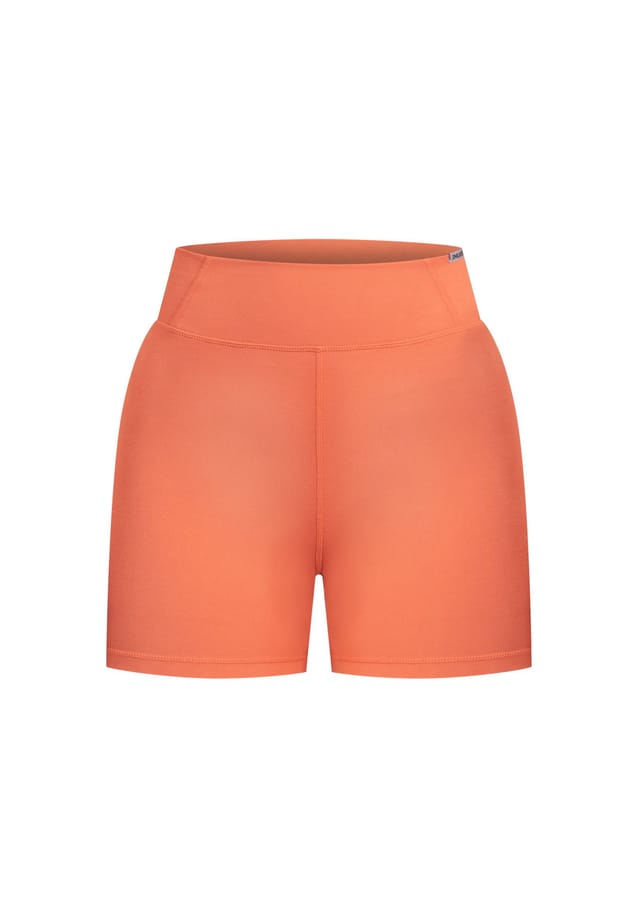 Шорты аванс профи Smilodox, цвет terakotta
Шорты аванс профи Smilodox, цвет terakotta