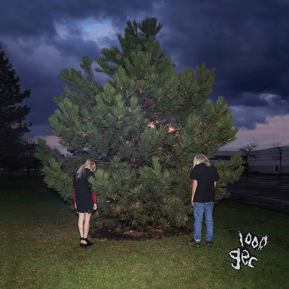 Виниловая пластинка 100 gecs - 1,000 gecs
Виниловая пластинка 100 gecs - 1,000 gecs