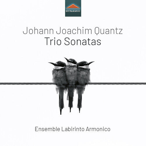 CD диск Quantz / Ensemble Labirinto Armonico: Trio Sonatas
CD диск Quantz / Ensemble Labirinto Armonico: Trio Sonatas