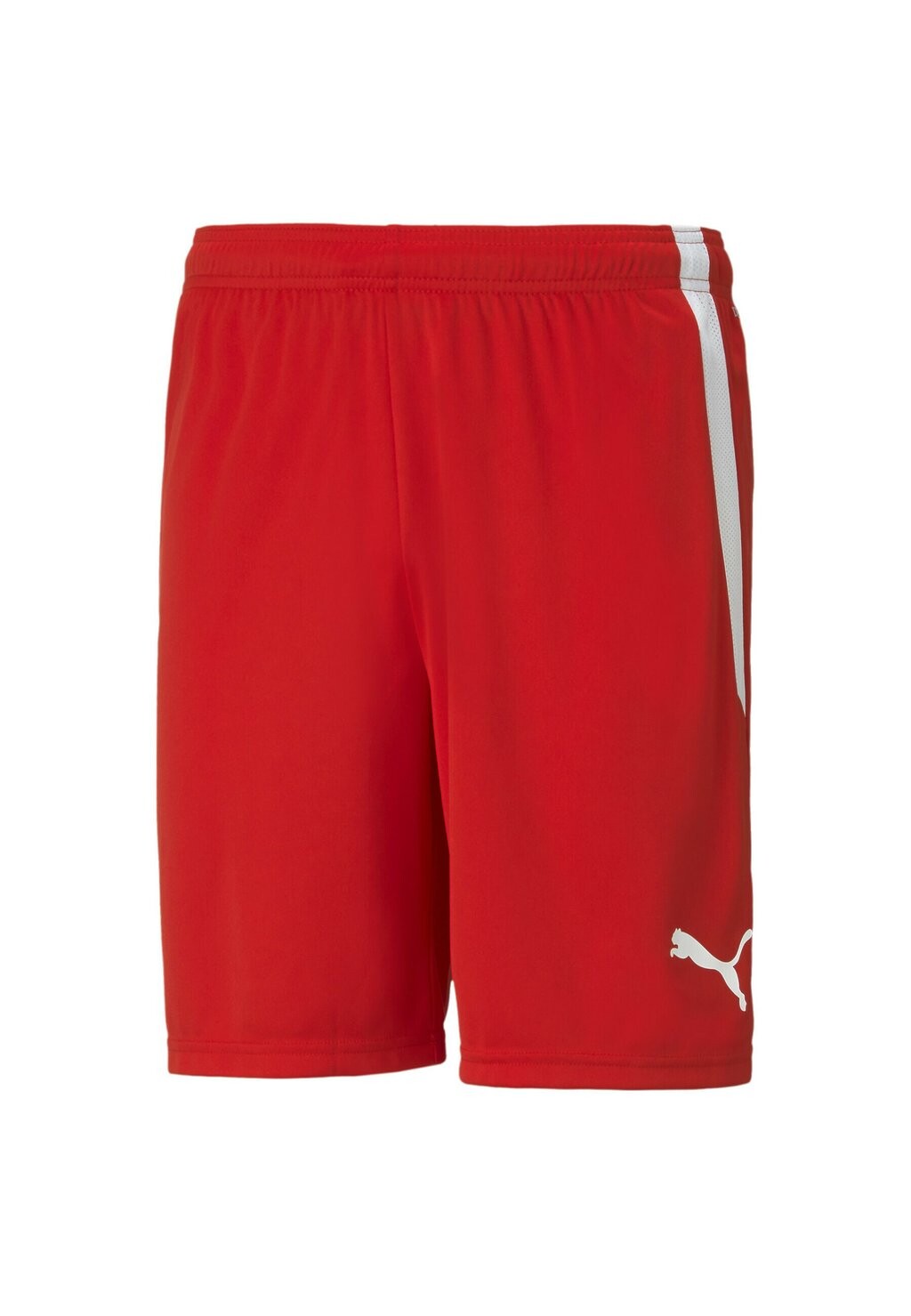 Шорты Teamliga Football Puma, цвет puma red puma white
Шорты Teamliga Football Puma, цвет puma red puma white