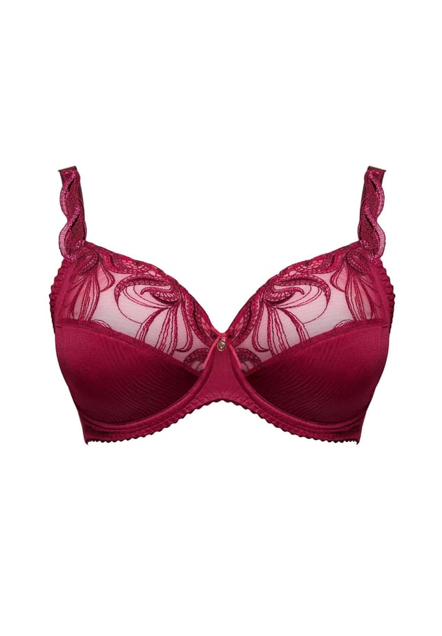 Бюстгальтер на косточках Carmen Ulla, бургундия
Бюстгальтер на косточках Carmen Ulla, бургундия