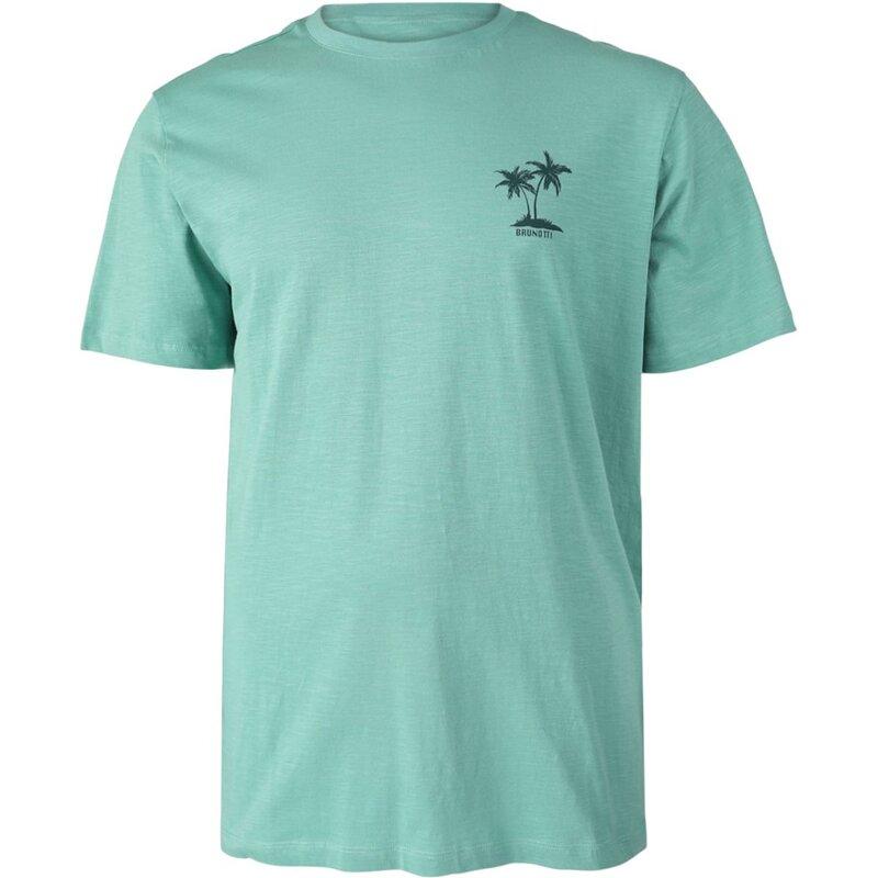 Футболка белее мужская футболка Brunotti, зеленый
Футболка белее мужская футболка Brunotti, зеленый